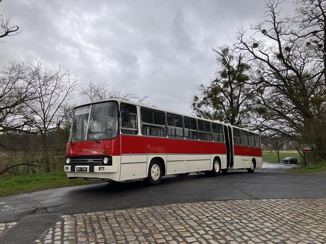 Nocna przejażdżka zabytkowymi autobusami. Klub Sympatyków Transportu Miejskiego zaprasza