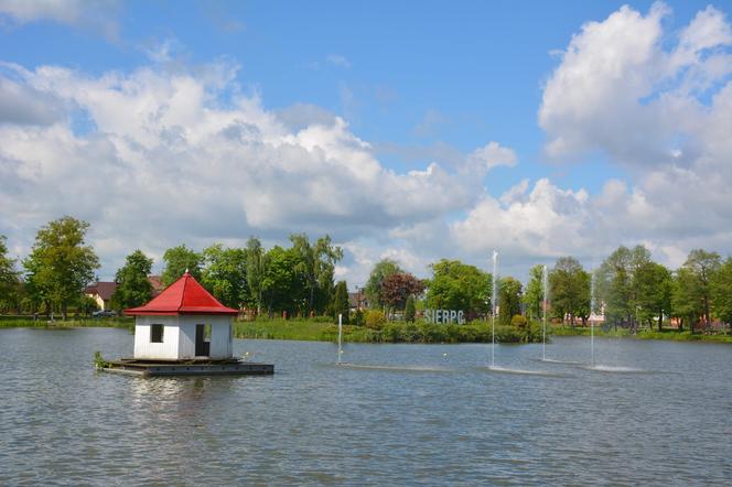 Mazowieckie. W Jeziórkach i Wojszu pływają prawdziwe giganty! Tego karpia starczyłoby na kilka wigilii [ZDJĘCIA, WIDEO]