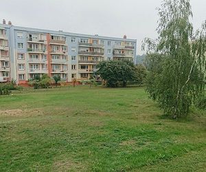 Powierzchnia biologicznie czynna. Czym jest? W jakich aktach prawnych występuje?
