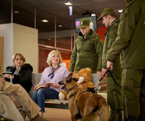 Na Wspólnej odc. 4043: Danka (Lucyna Malec)