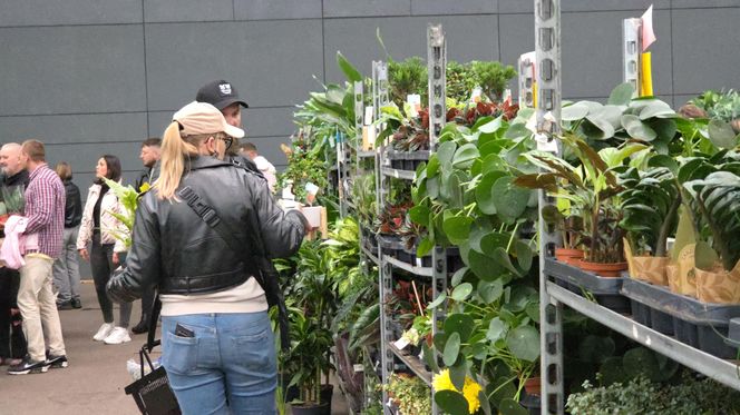 Festiwal Roślin znów zachwycił bydgoszczan! Setki gatunków i wyjątkowa atmosfera