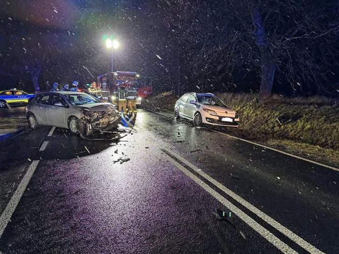 Tragedia na DW 790 w powiecie zawierciańskim. 51-latki nie udało się uratować