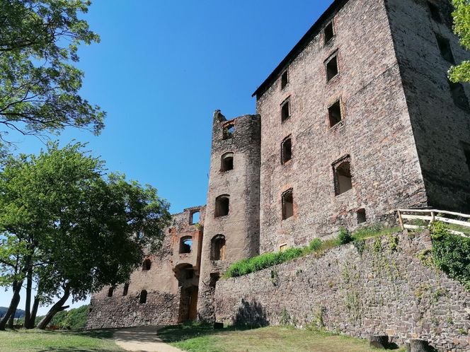 Zamek Świny