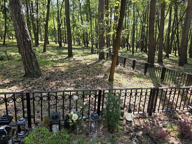 Las pamięci na Junikowie w Poznaniu