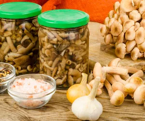 Sałatka z opieniek  do słoików - zimą będzie jak znalazł. Jak zrobić opieńki do słoików?