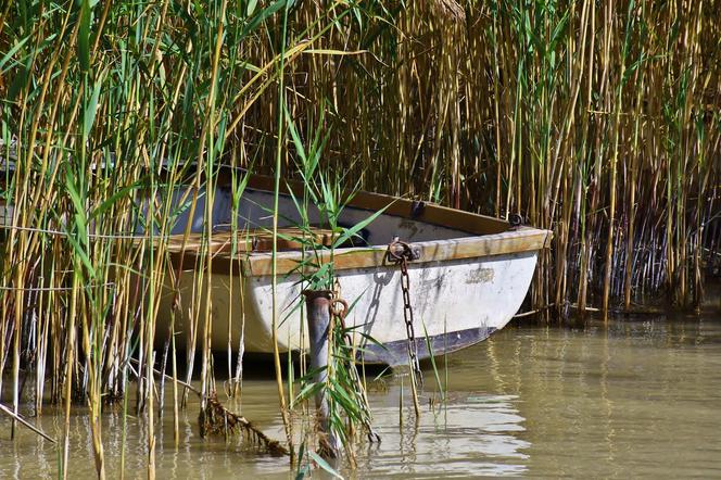 KOSZMAR na jeziorze Wałpusz! W dryfujące łodzi znaleziono ciało mężczyzny!
