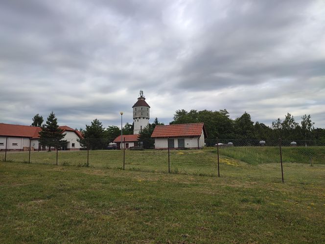 Prawie jak dom Muminków. Zabytkowa wieża na Mazurach zachwyca