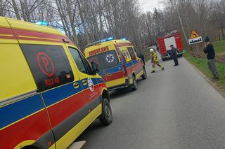 Czermna. Dostawcze IVECO roztrzaskało się na drzewie. Nie żyje kierowca