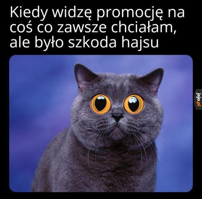 Czarny humor na "Czarny Piątek". Zobacz najlepsze memy o Black Friday 