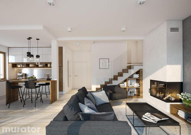 Salon z kuchnią: gotowe projekty