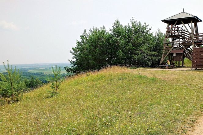 Jedyne takie miejsce na mapie Podlasia! Tutaj znajduje się najwyżej położony punkt w regionie