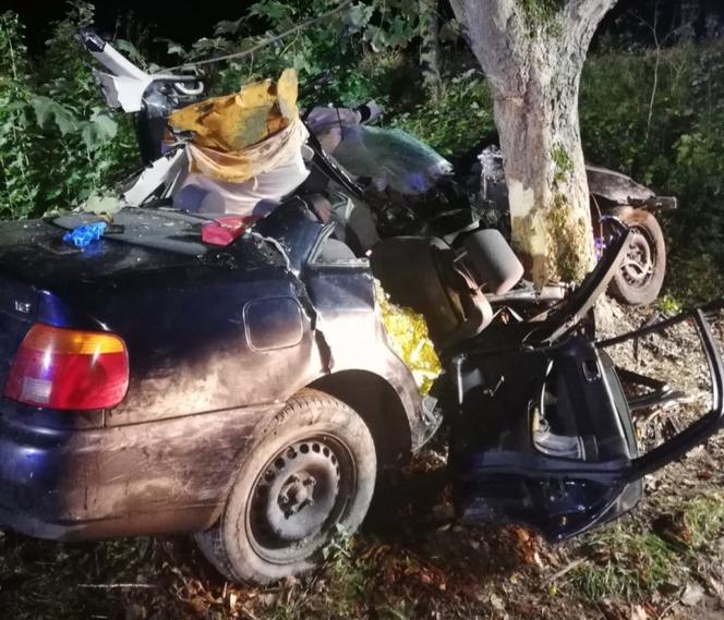 Wielewo. Tragiczny wypadek w gminie Braniewo. Auto wbiło się w drzewo! 19-latek nie żyje!