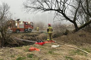 Nad ranem wybuchł pożar tartaku na Podkarpaciu