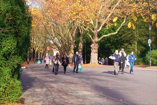1 listopada na Cmentarzu Centralnym w Szczecinie