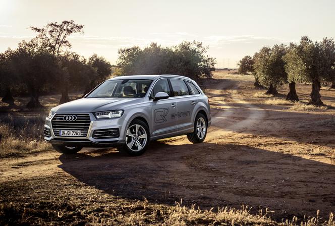 Audi Q7 e-tron 3.0 TDI quattro