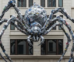 Gigantyczny pająk z butelek w Lublinie. Jak powstała instalacja, która pokonała lęk?