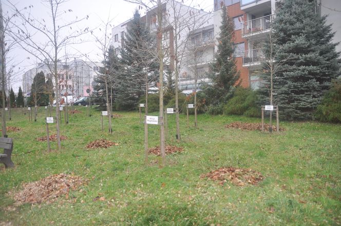 Jesień na Osiedlu Świętokrzyskim i Szydłówku w Kielcach