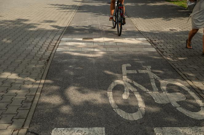 Rowerzyści się wkurzą: Rolkarze i ZDM zabierają im przestrzeń! 