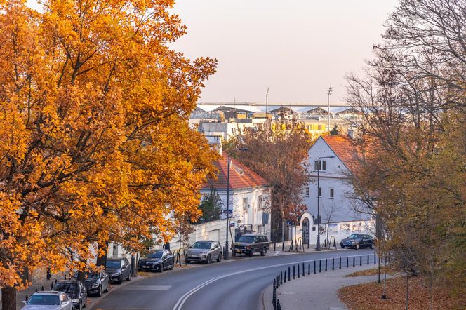 Kolonia profesorska w Warszawie