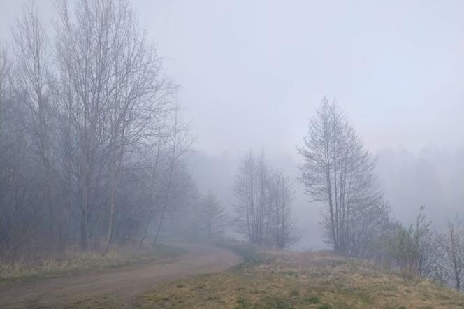 Pożar Lubańskiego Wielkiego Lasu