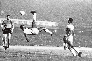 Fokus TV : Pele król futbolu