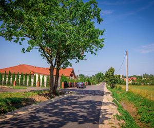   Młynary. Małe miasteczko na Warmii i Mazurach. Zobacz zdjęcia