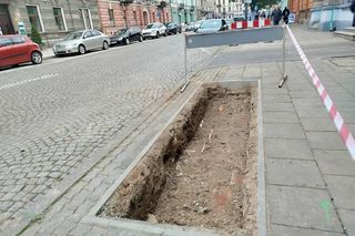 Będzie więcej zieleni przy ul. Piłsudskiego. Powstają tam rabaty z kwiatami 