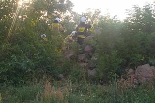 Żmieje zadomowiły się wśród traw w pobliżu domu. Obok bawiły się dzieci 