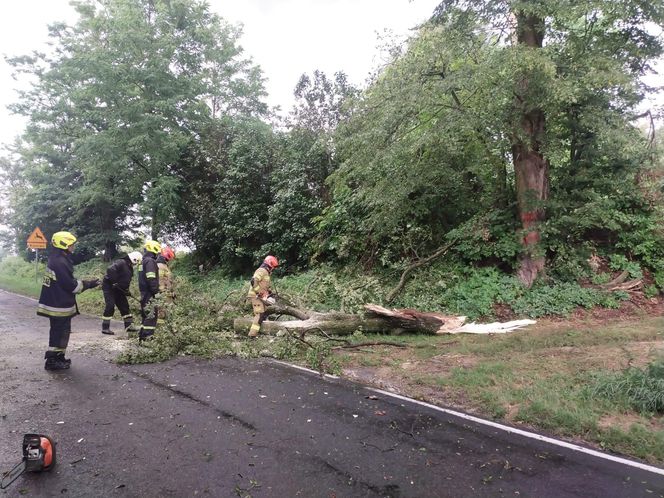 Groźne burze przechodzą przez woj. lubelskie