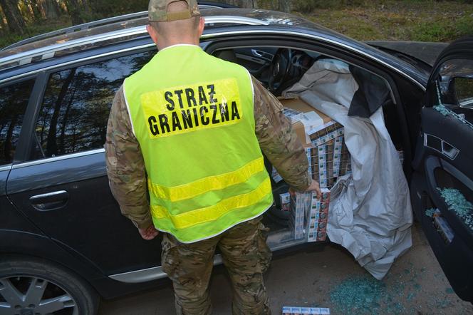 W Audi A6 zmieścił 23,5 tys. paczek papierosów o wartości 350 tys. zł