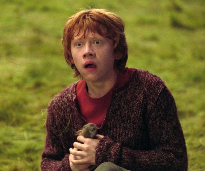 Rupert Grint (Ron Weasley) – PRZEGRANA Z URZĘDEM SKARBOWYM