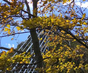 To jedno z najstarszych polskich uzdrowisk najpiękniej wygląda jesienią. Kurowali się w nim Sienkiewicz, Prus, Matejko i Konopnicka