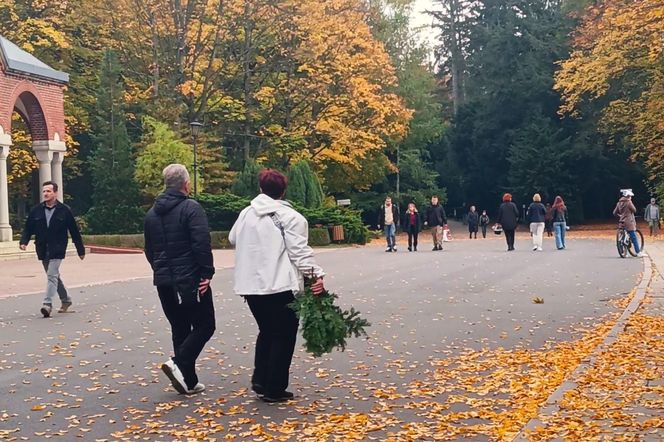 Przygotowania do 1 listopada na Cmentarzu Centralnym w Szczecinie