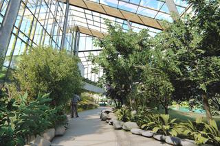 Powstanie Centrum Edukacji Ekologicznej w Sosnowcu