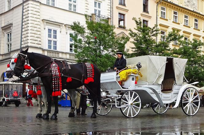 Koronawirus w Krakowie. Wprowadzono zakaz dla dorożek na Rynku Głównym