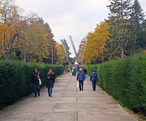 1 listopada na Cmentarzu Centralnym w Szczecinie