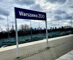 Tragiczny wypadek w Warszawie. Nie żyje rowerzysta, który wpadł pod pociąg na stacji Warszawa ZOO