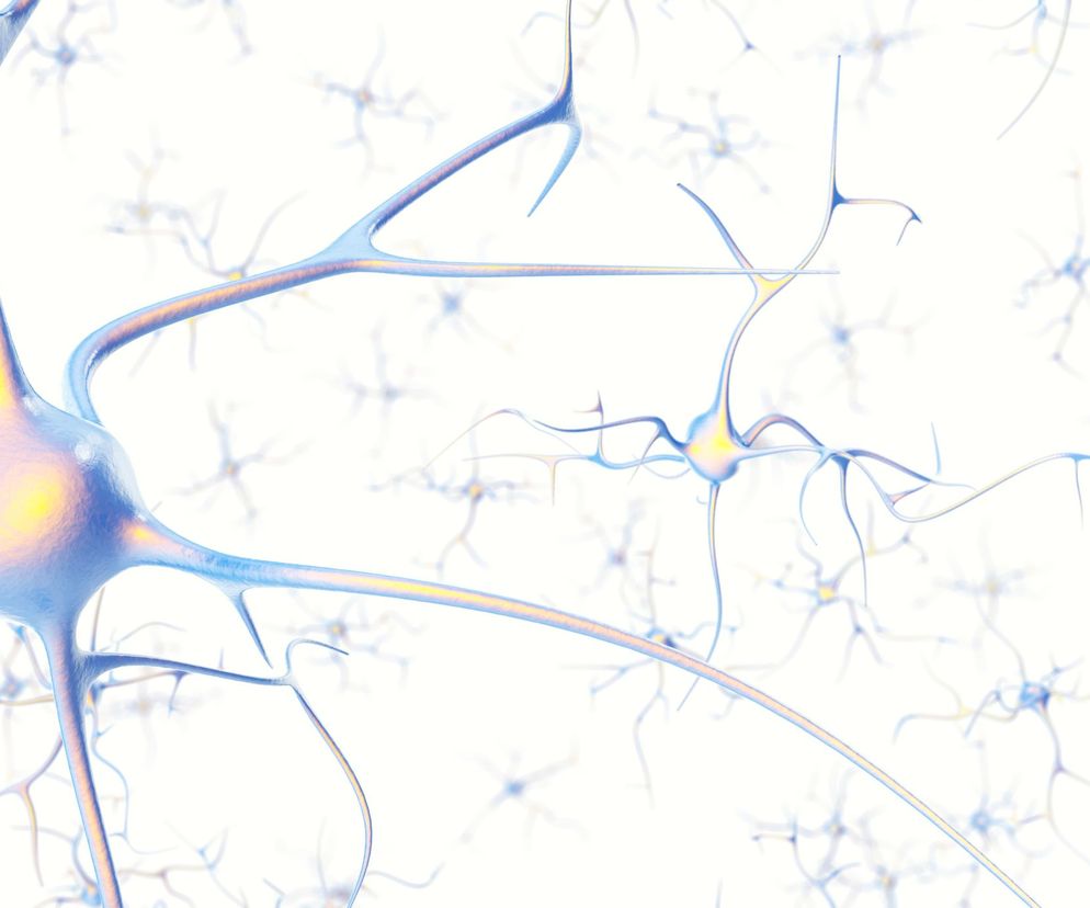 Choroby neurodegeneracyjne związane są z postępującymi uszkodzeniami komórek budujących struktury należące do układu nerwowego.