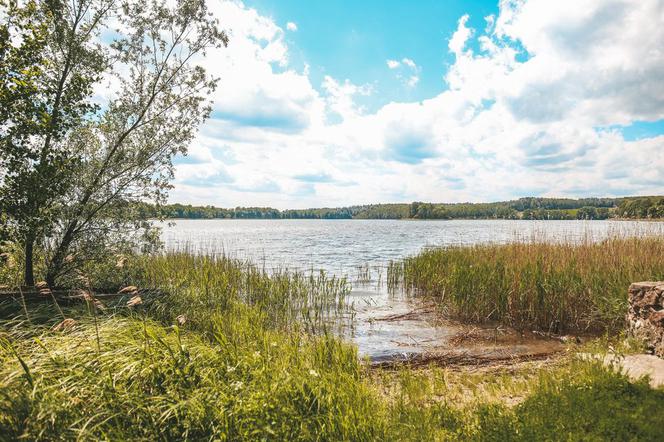 Coś niesamowitego! Rzeźbione schody w opuszczonym pałacu robią ogromne wrażenie [ZDJĘCIA]