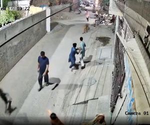 Lew rzucił się na dzieci i kobietę pośrodku ulicy! Oto, co stało się potem