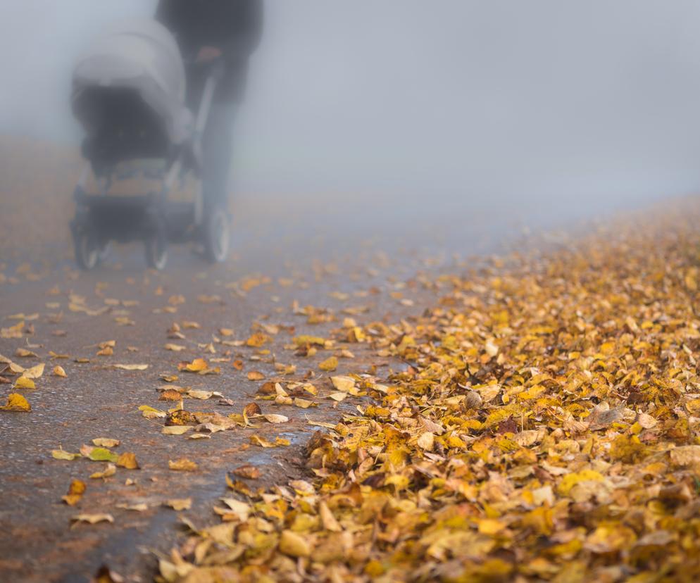 Trujący sezon w całej Polsce rozpoczęty. Normy przekroczone o prawie 2 tys. procent  