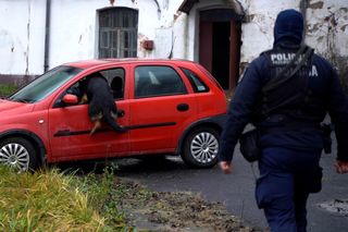 Policyjne psy w akcji. Tak szkolą czworonożnych funkcjonariuszy