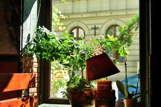 Widok z Orientalnej. Ulica Strumykowa.