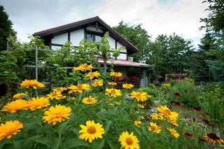 Gminy zyskujące mieszkańców w Wielkopolsce