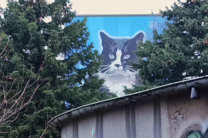 Mural z kotem Gackiem już odsłonięty