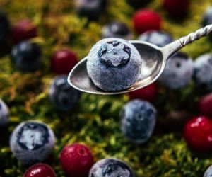 Mrożenie jagód - jak zamrozić jagody na zimę?