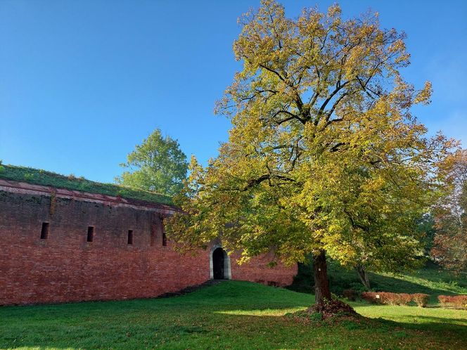 Zamojski Park jesienią