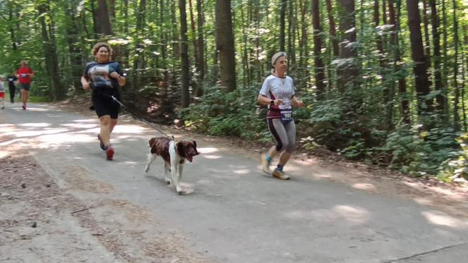 Bieg i marsz nordic walking o Puchar Miejskiej Góry