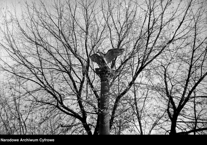 Cmentarze Powązkowskie - 1946-1963