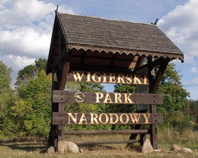 Wigierski Park Narodowy. To bezcenny obszar podlaskiej natury